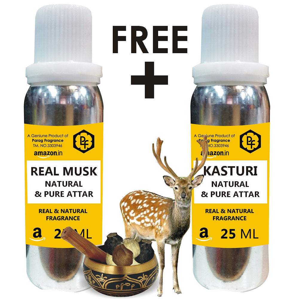 Tonkin Deer Musk Deer Used For Perfume Kasturi Deer Perfume